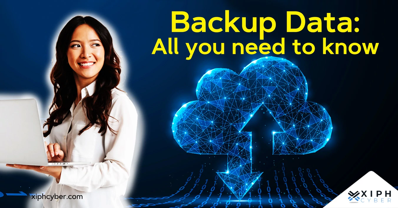 Business backup data plan & recovery